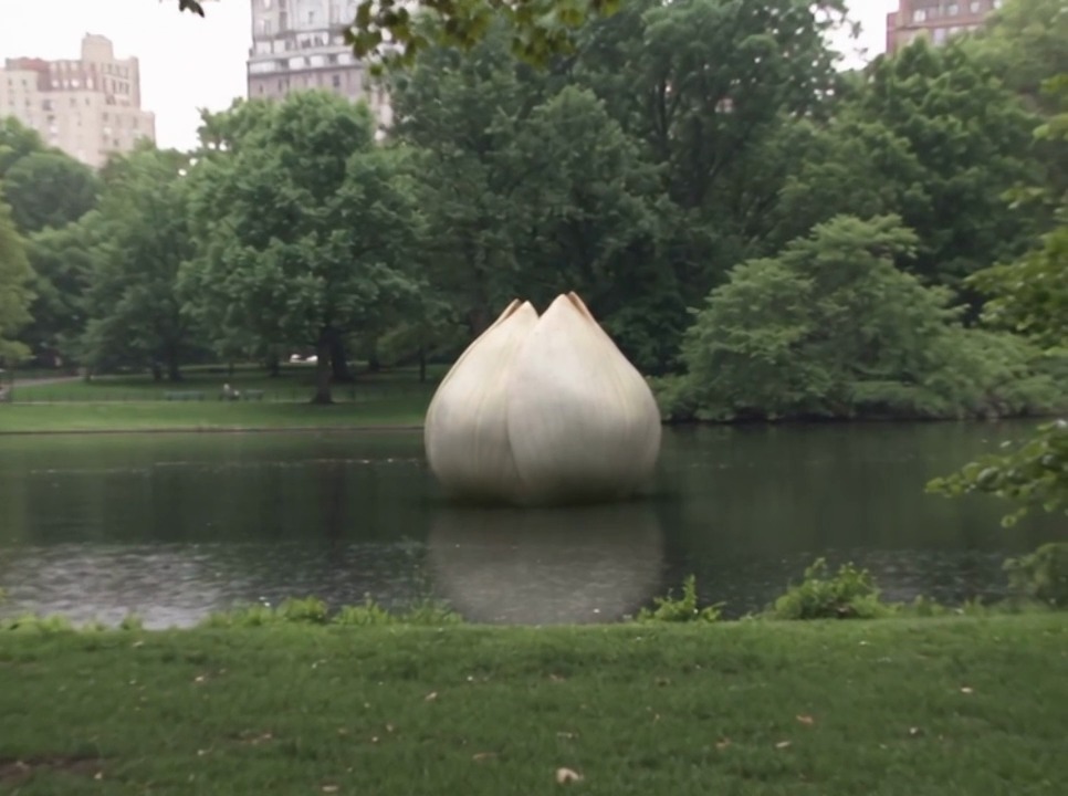 PARK / LOTUS POND